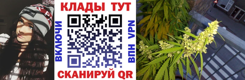 Где купить наркоту Иланский Галлюциногенные грибы COCAIN Меф мяу мяу Конопля A-PVP
