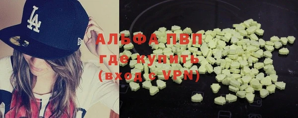 тгк Дмитров