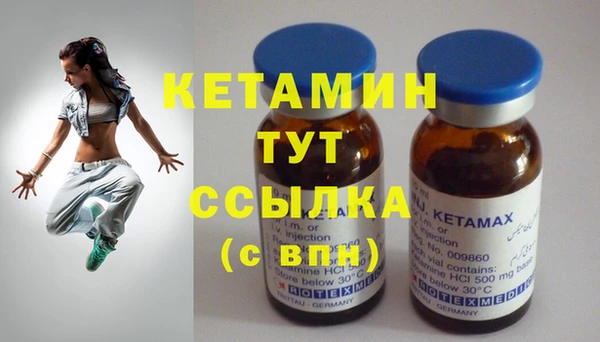 стафф Дмитриев