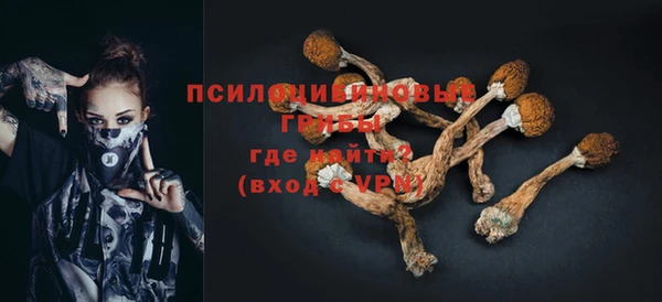 тгк Дмитров