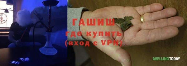 стафф Дмитриев
