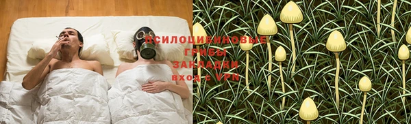 тгк Дмитров