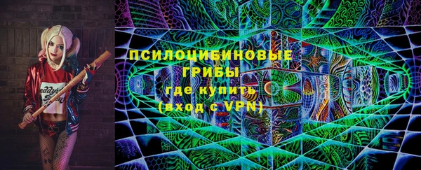 тгк Дмитров