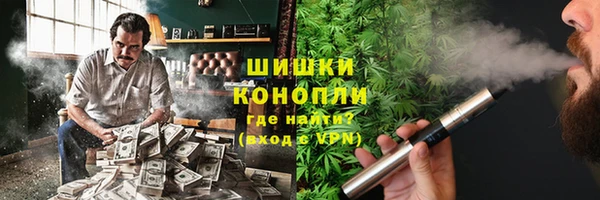 тгк Дмитров