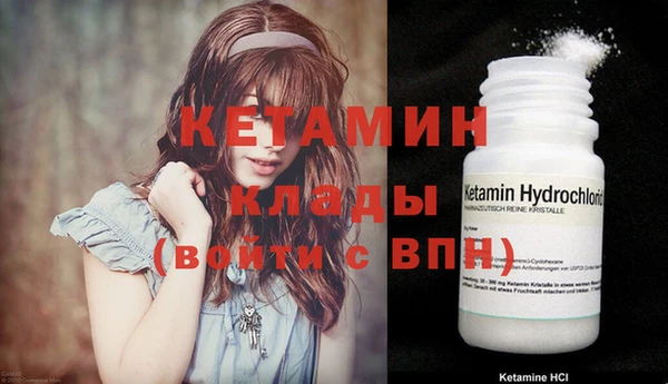 стафф Дмитриев