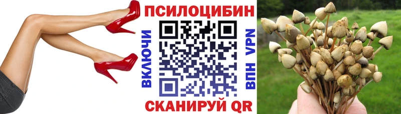 мориарти официальный сайт  продажа наркотиков  Иланский  Псилоцибиновые грибы Magic Shrooms 