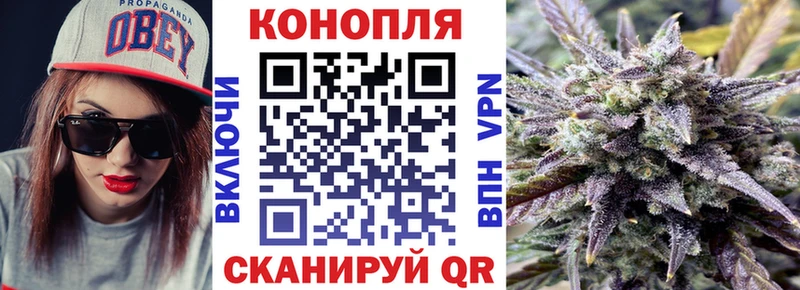 Марихуана AK-47  купить наркоту  Иланский 